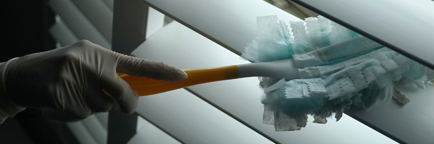 Eco-Friendly Cleaning Services in Shaker Heights, OH